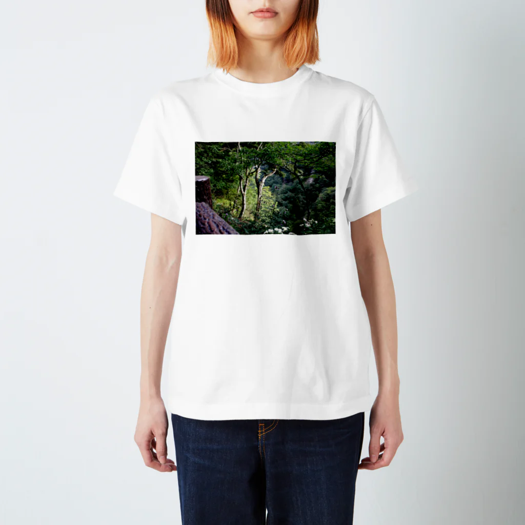 RyoY_ArtWorks_Galleryの傾斜に咲き誇る花 Regular Fit T-Shirt