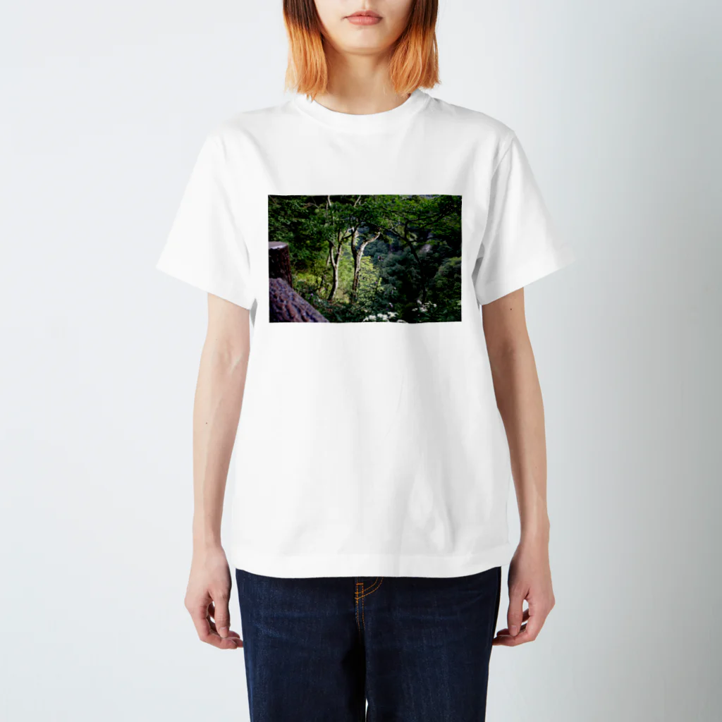 RyoY_ArtWorks_Galleryの傾斜に咲き誇る花 スタンダードTシャツ