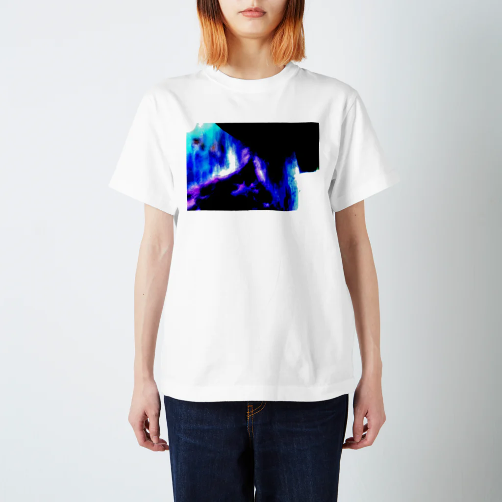 RyoY_ArtWorks_Galleryの増幅する憎悪 スタンダードTシャツ