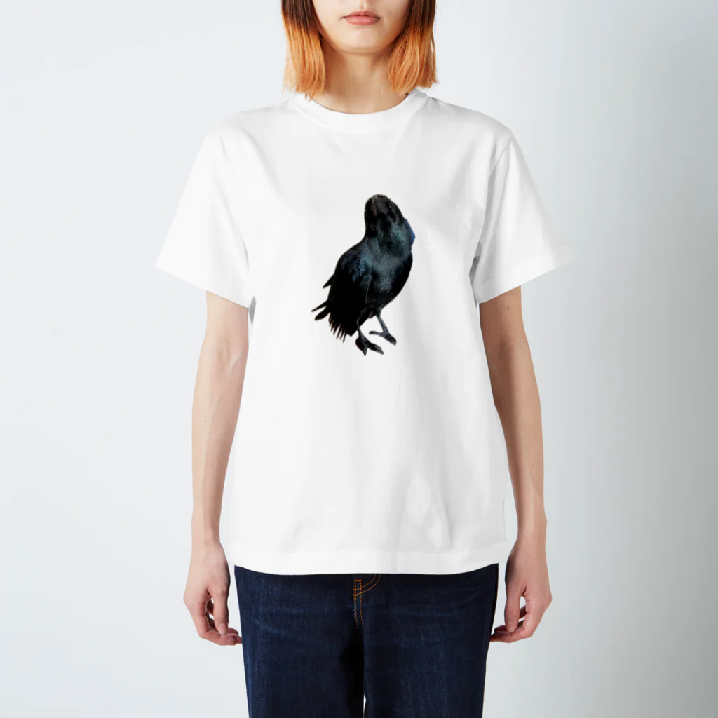 karasunikkiののどモコモコでかわいいカラスのハッピー スタンダードTシャツ