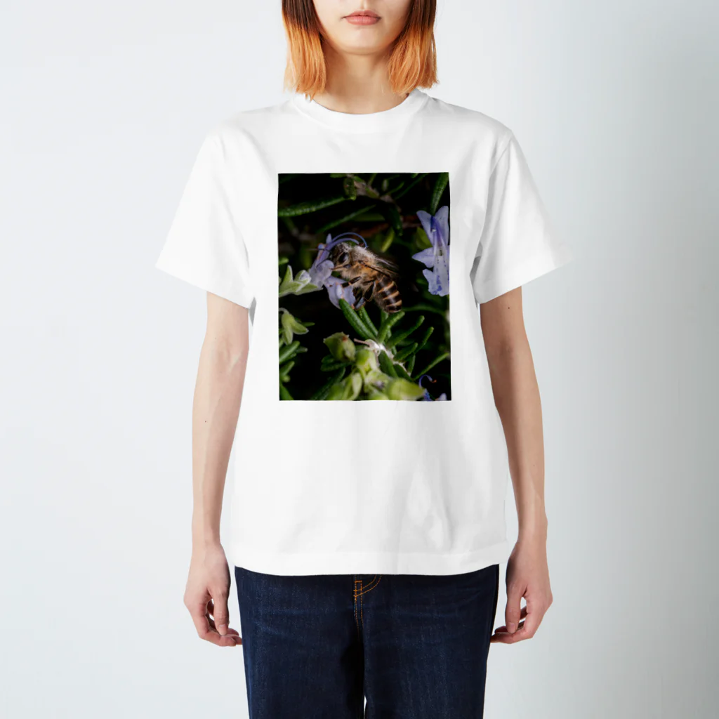 ふよだすの花を吸うミツバチ Regular Fit T-Shirt