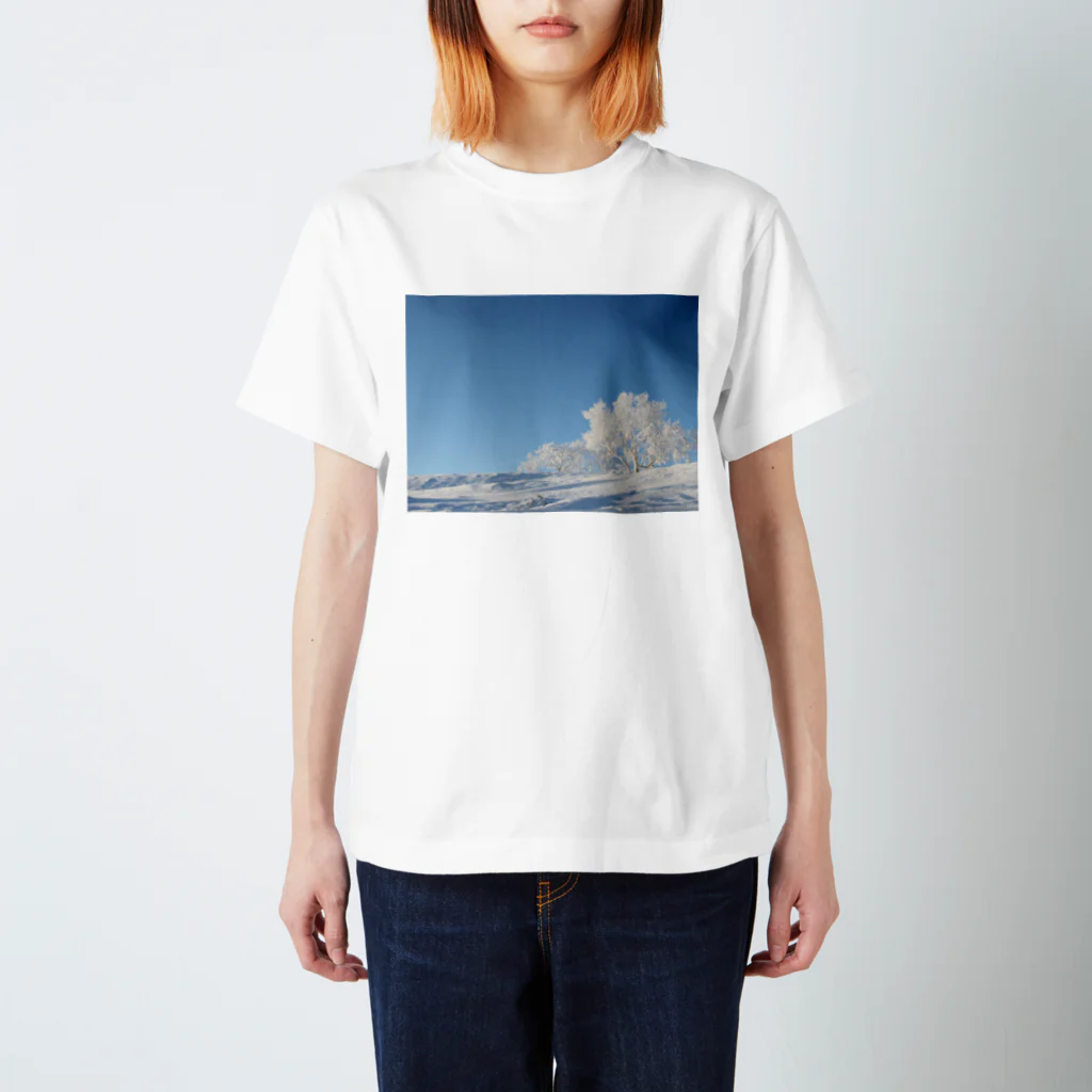 kazenomichi＋の樹氷と青空 スタンダードTシャツ