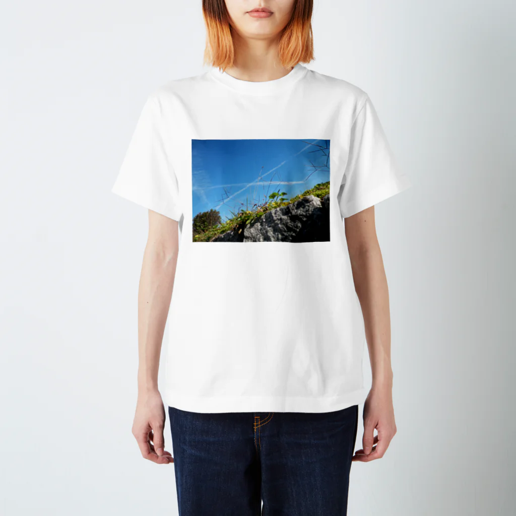 ミドリのdaichi スタンダードTシャツ