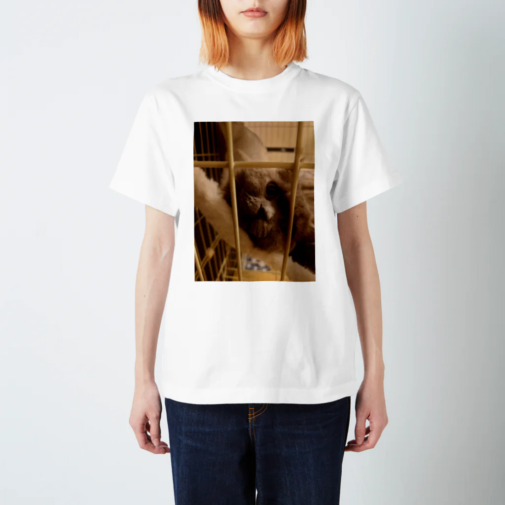 ginneの囚われのC君 Regular Fit T-Shirt