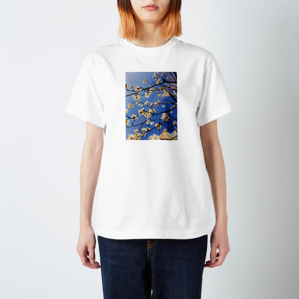 komochi_itachiの白木蓮 Regular Fit T-Shirt