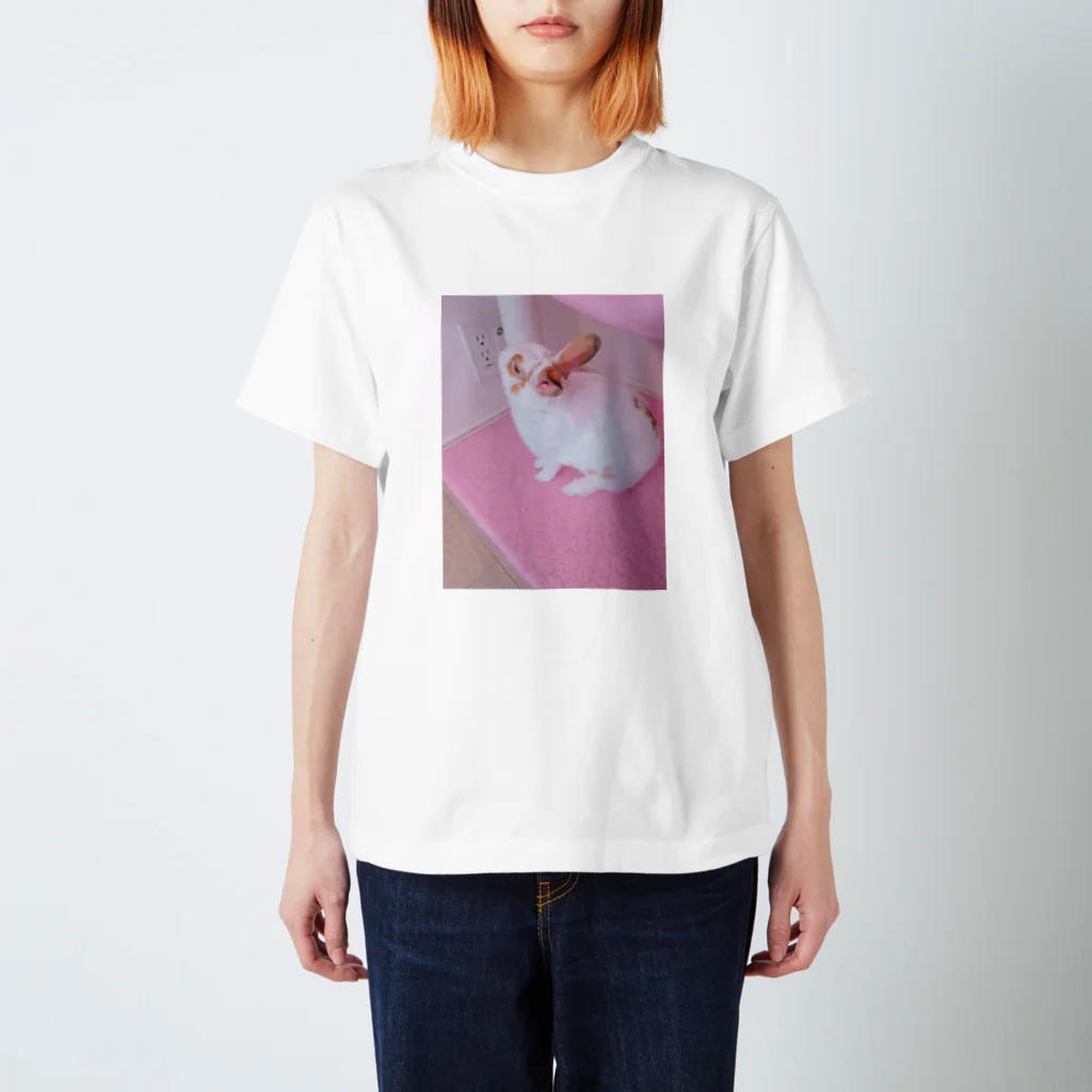 もち子さんのうさぎの琥珀くん Regular Fit T-Shirt