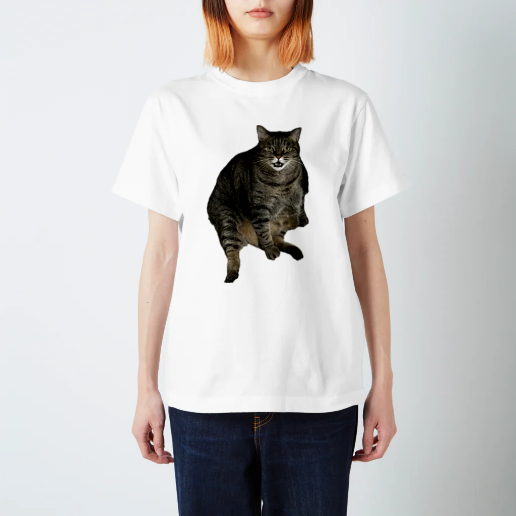 あきぞらやのうちのねこ スタンダードTシャツ