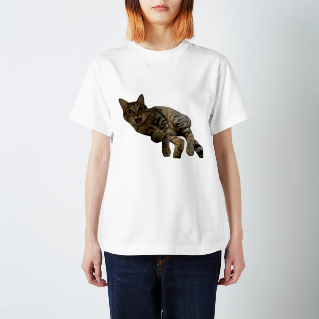 直太朗ショップのキジトラ猫の直太朗2 スタンダードTシャツ