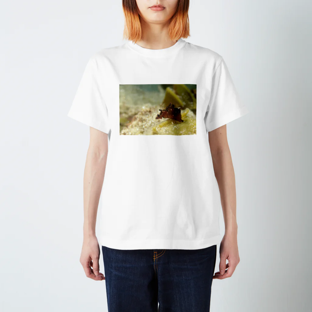 海の生き物雑貨店　うみちゅうなの海中写真　クロヘリアメフラシ Regular Fit T-Shirt