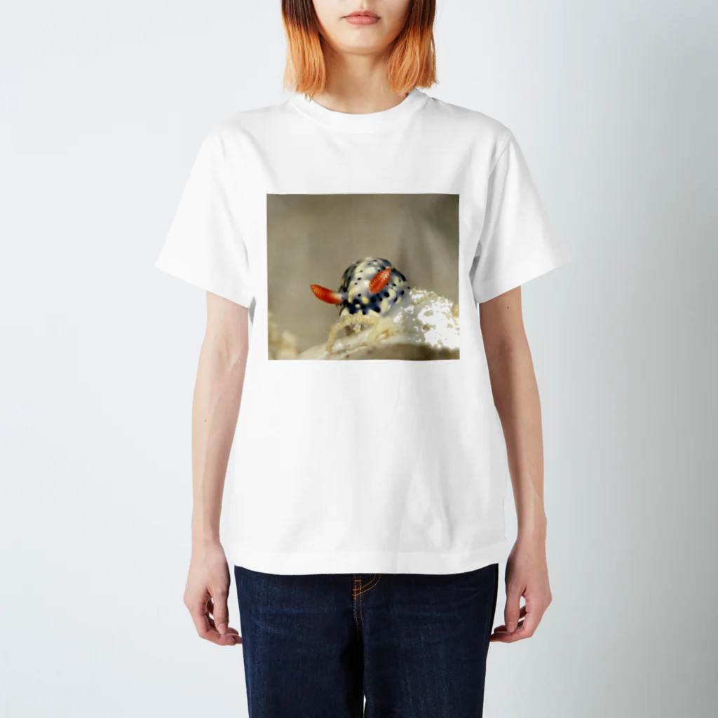 海の生き物雑貨店　うみちゅうなの海中写真2　ホシゾラウミウシ Regular Fit T-Shirt