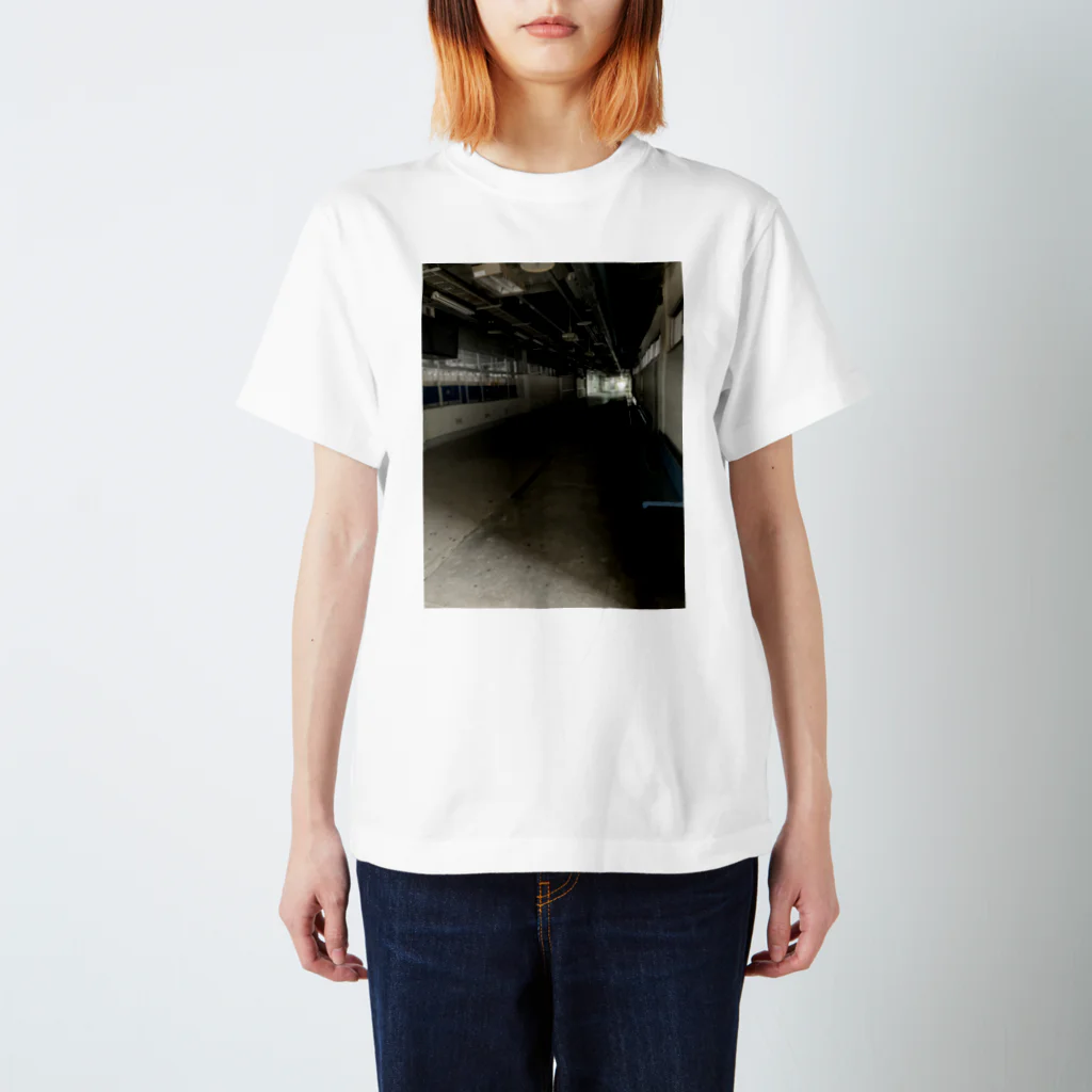 なまず屋の田舎4 Regular Fit T-Shirt