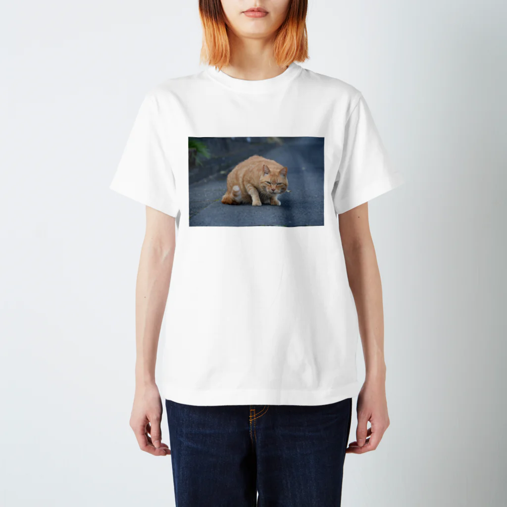 keosyzの睨む猫 Regular Fit T-Shirt