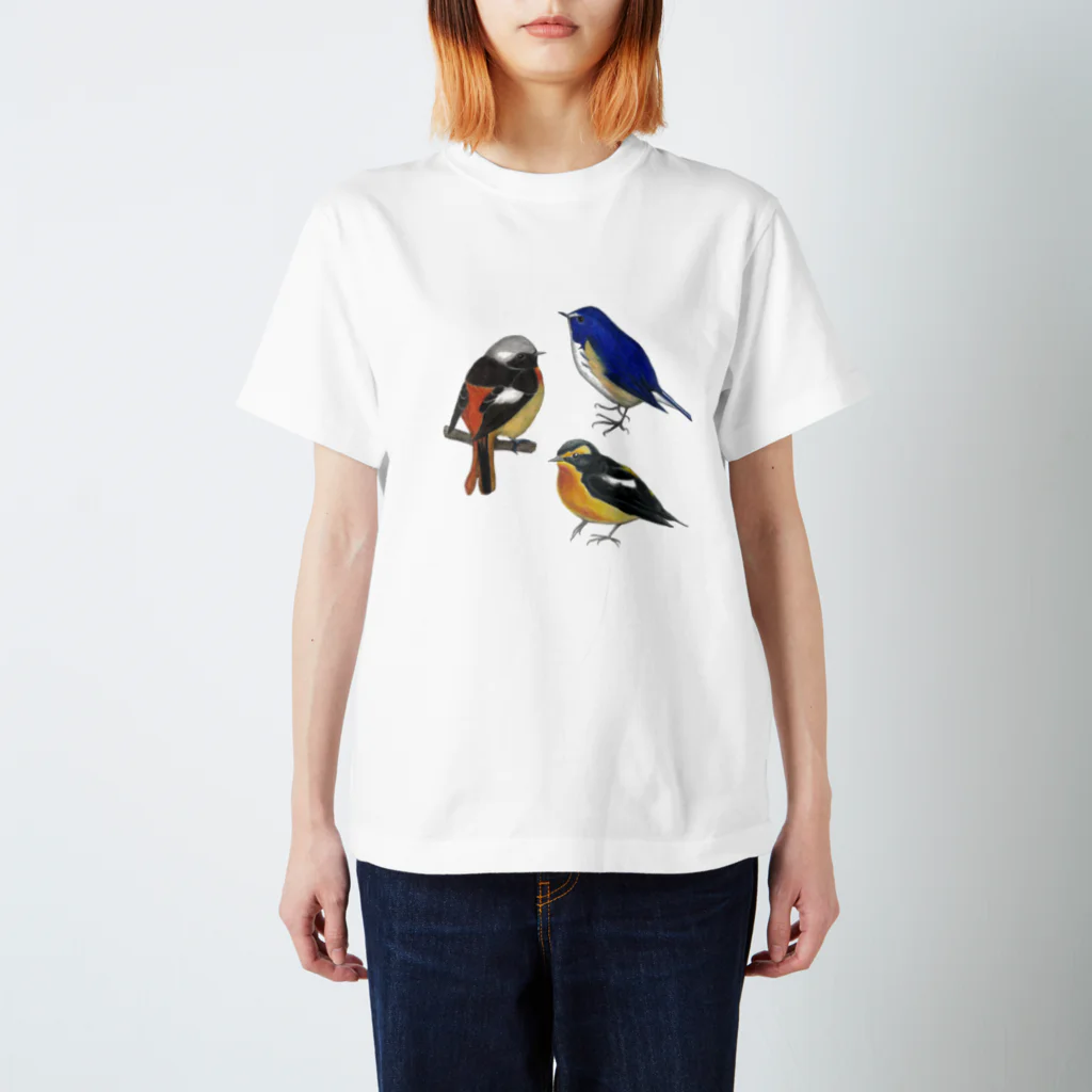 森図鑑の[森図鑑］ヒタキ科の野鳥 スタンダードTシャツ