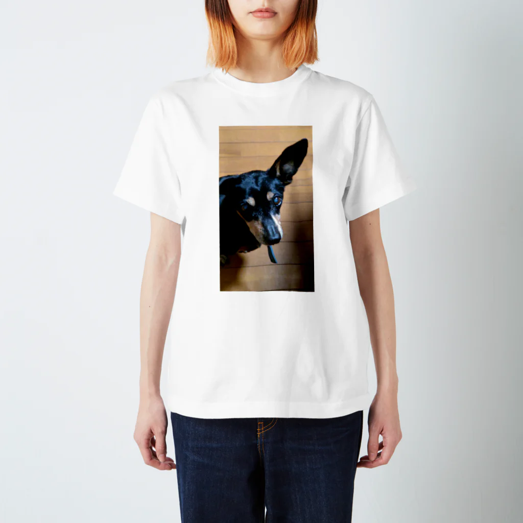 watama33の左耳立犬 Regular Fit T-Shirt