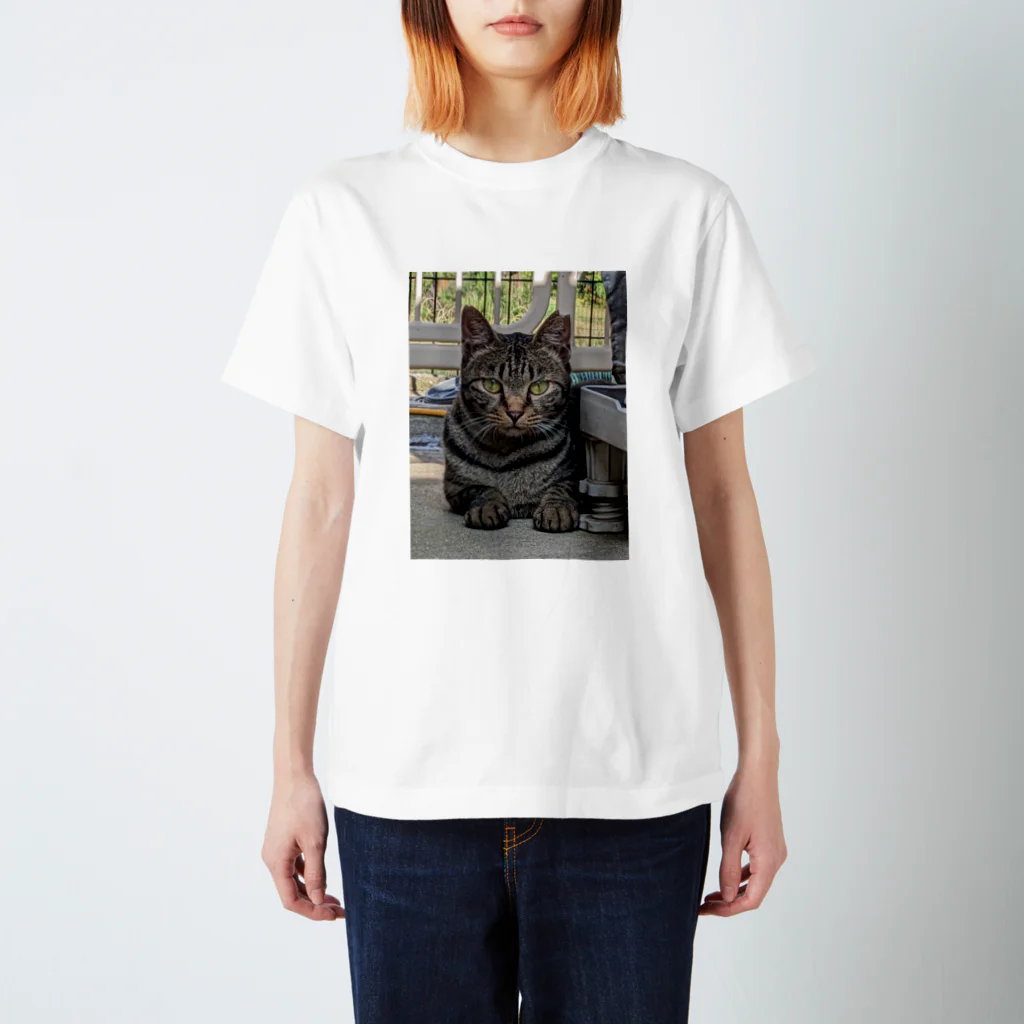 喜多村商店のさくら猫のCHAR(シャア) スタンダードTシャツ