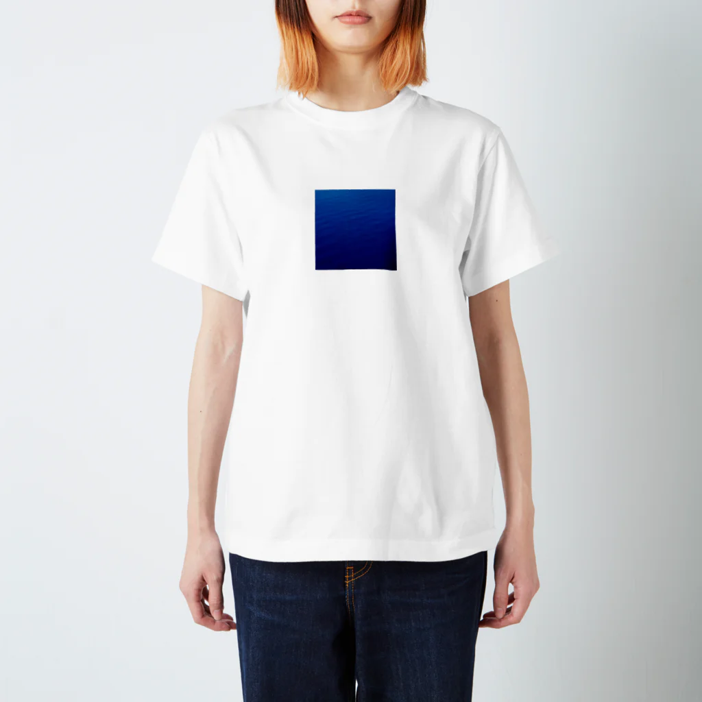 ppqのbluue スタンダードTシャツ