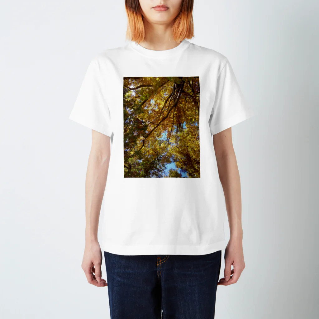 福猫山小屋の美しい木々 スタンダードTシャツ