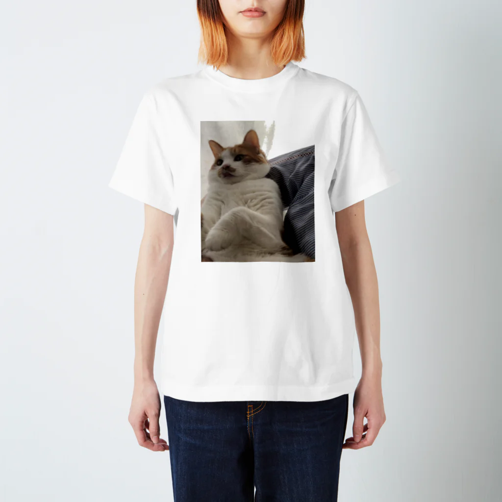 姫子のデブ猫赤ちゃん Regular Fit T-Shirt