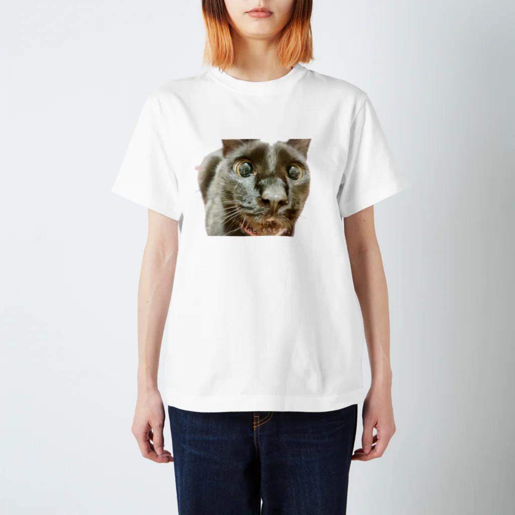 保護猫本舗★のいねグッズ Regular Fit T-Shirt