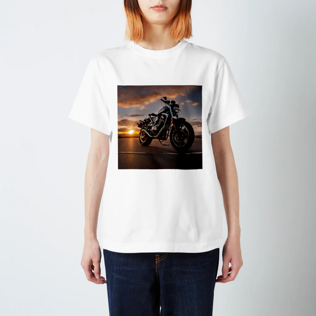 the blue seasonの夕焼けの旅路 スタンダードTシャツ