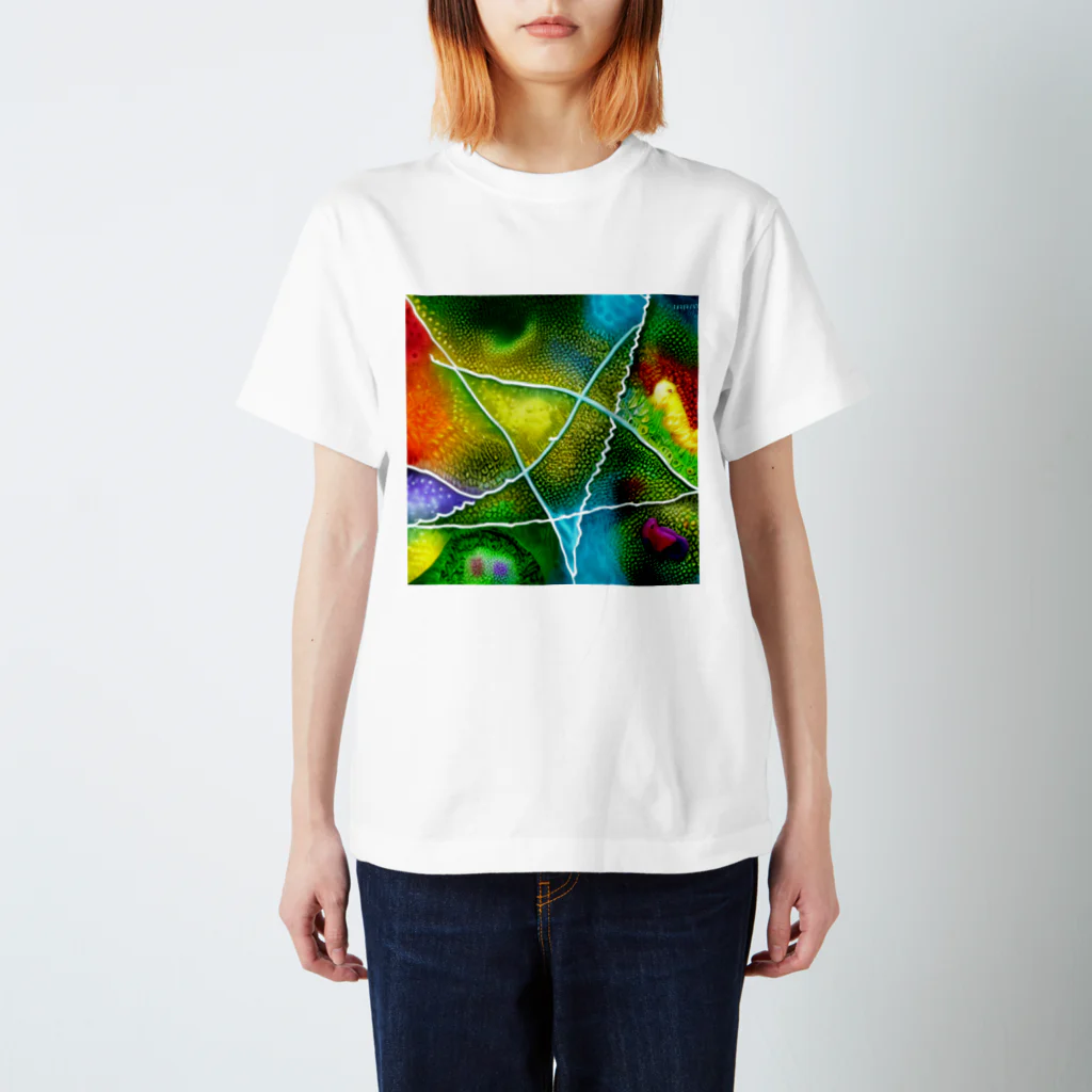 nu_nu_collectionの宇宙の道 Regular Fit T-Shirt