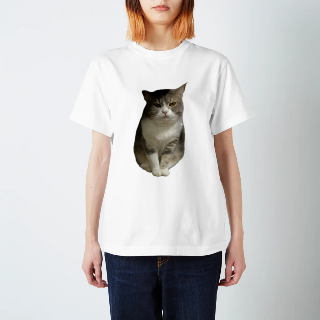 むっちり猫のむっちり丸の不機嫌な美猫 ミロ姫 Regular Fit T-Shirt