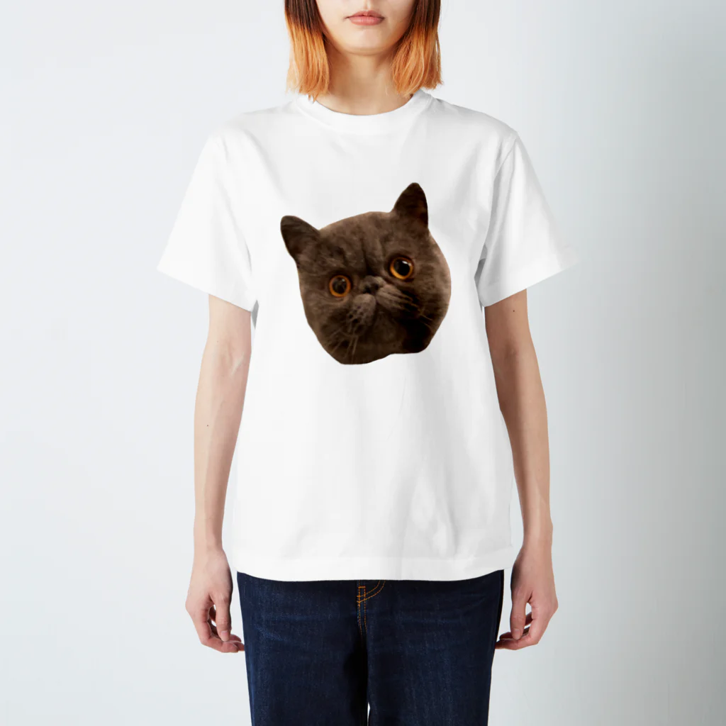 猫のRamuneストア(*ΦωΦ*)のramune スタンダードTシャツ