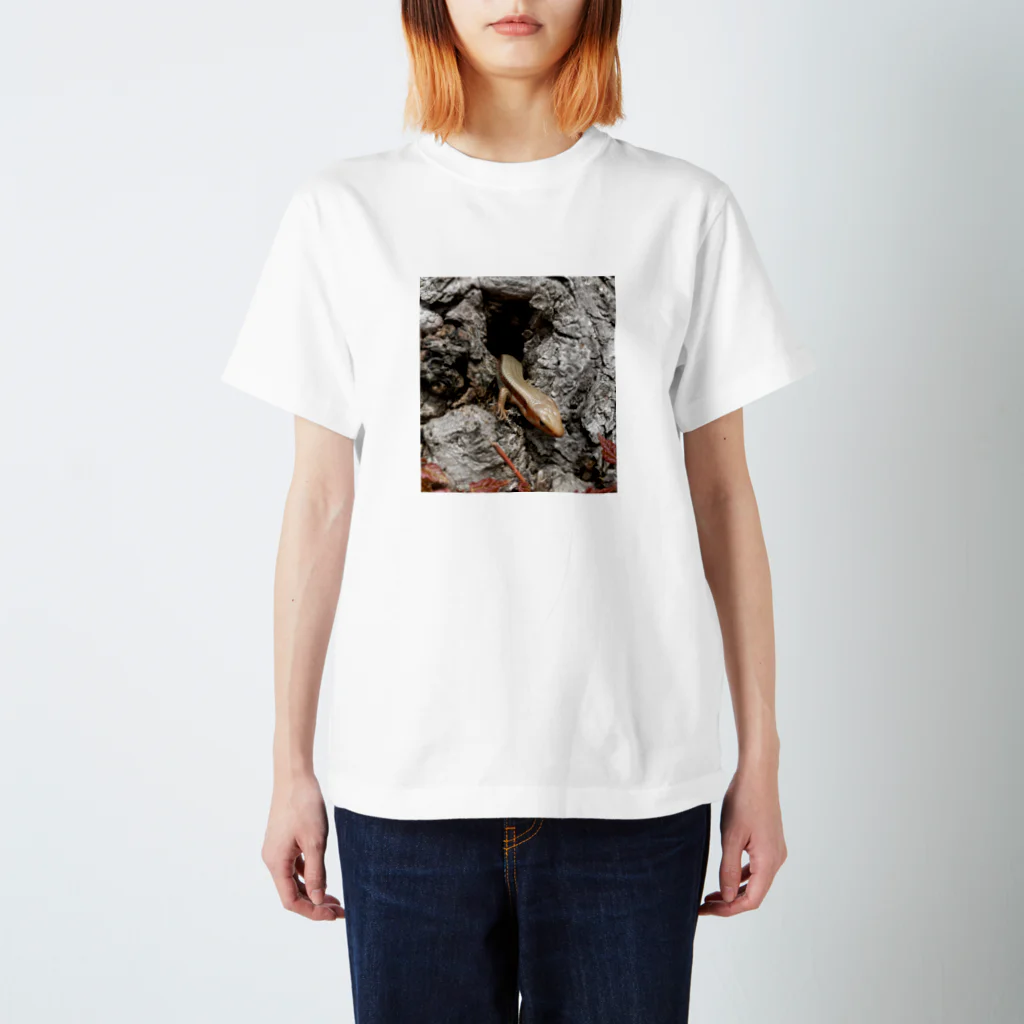 yuuyuu2024のカナヘビの目覚め Regular Fit T-Shirt