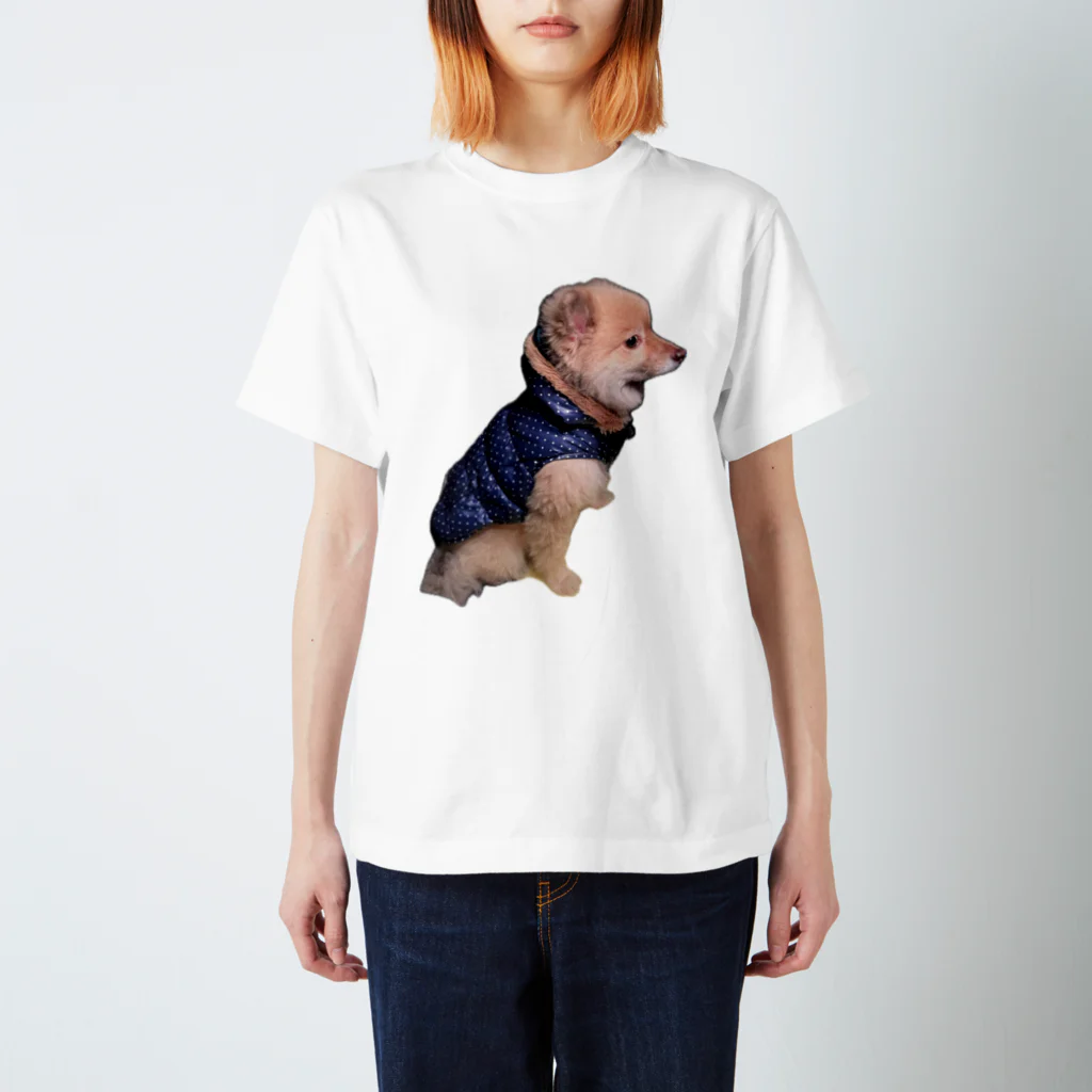 teのおすまし犬 Regular Fit T-Shirt