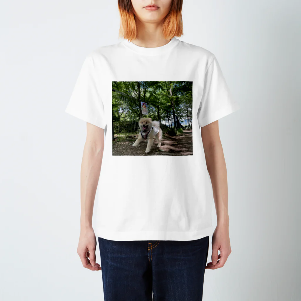 teの思い出の夏の日の犬 スタンダードTシャツ