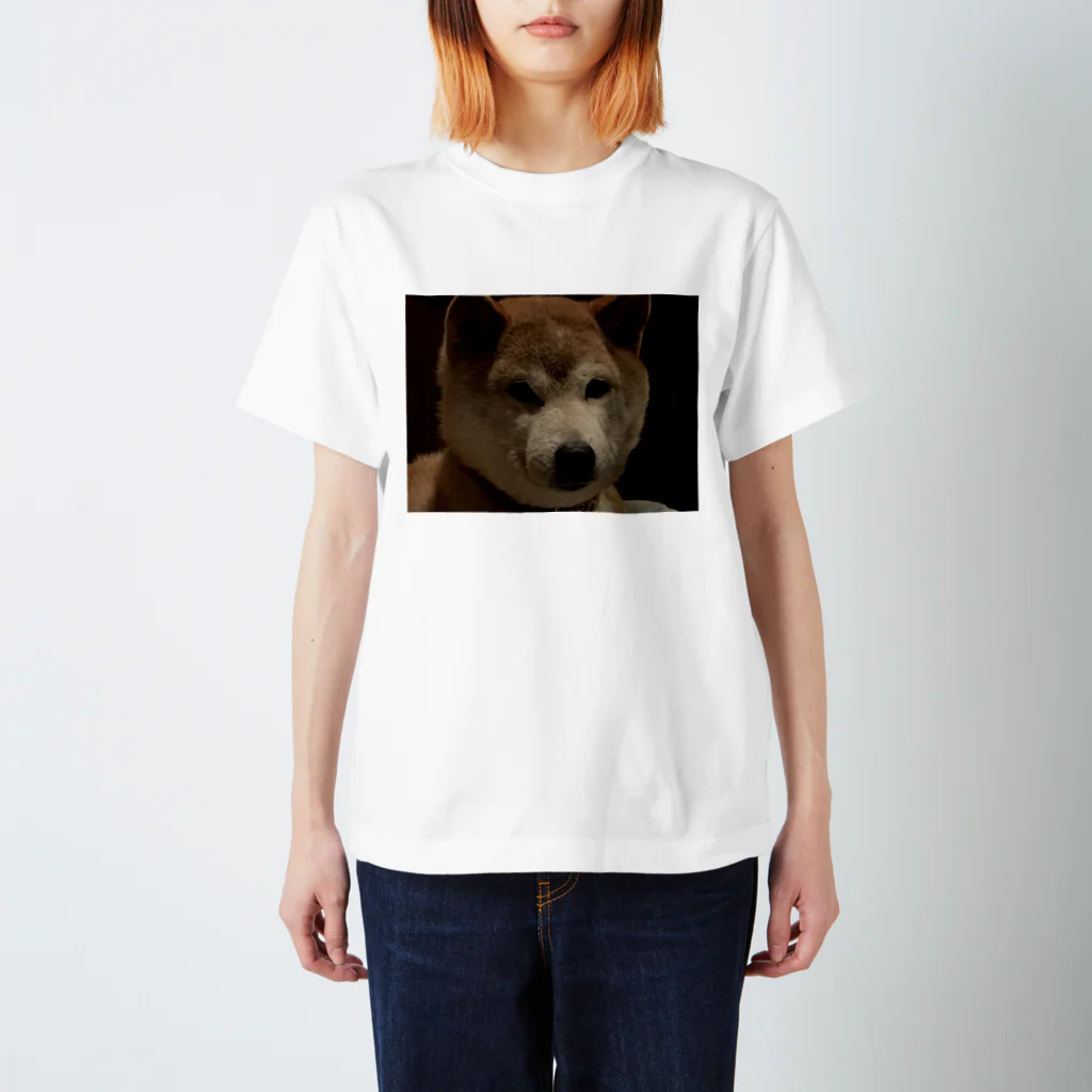 A_opal1のイッヌ🐶 スタンダードTシャツ