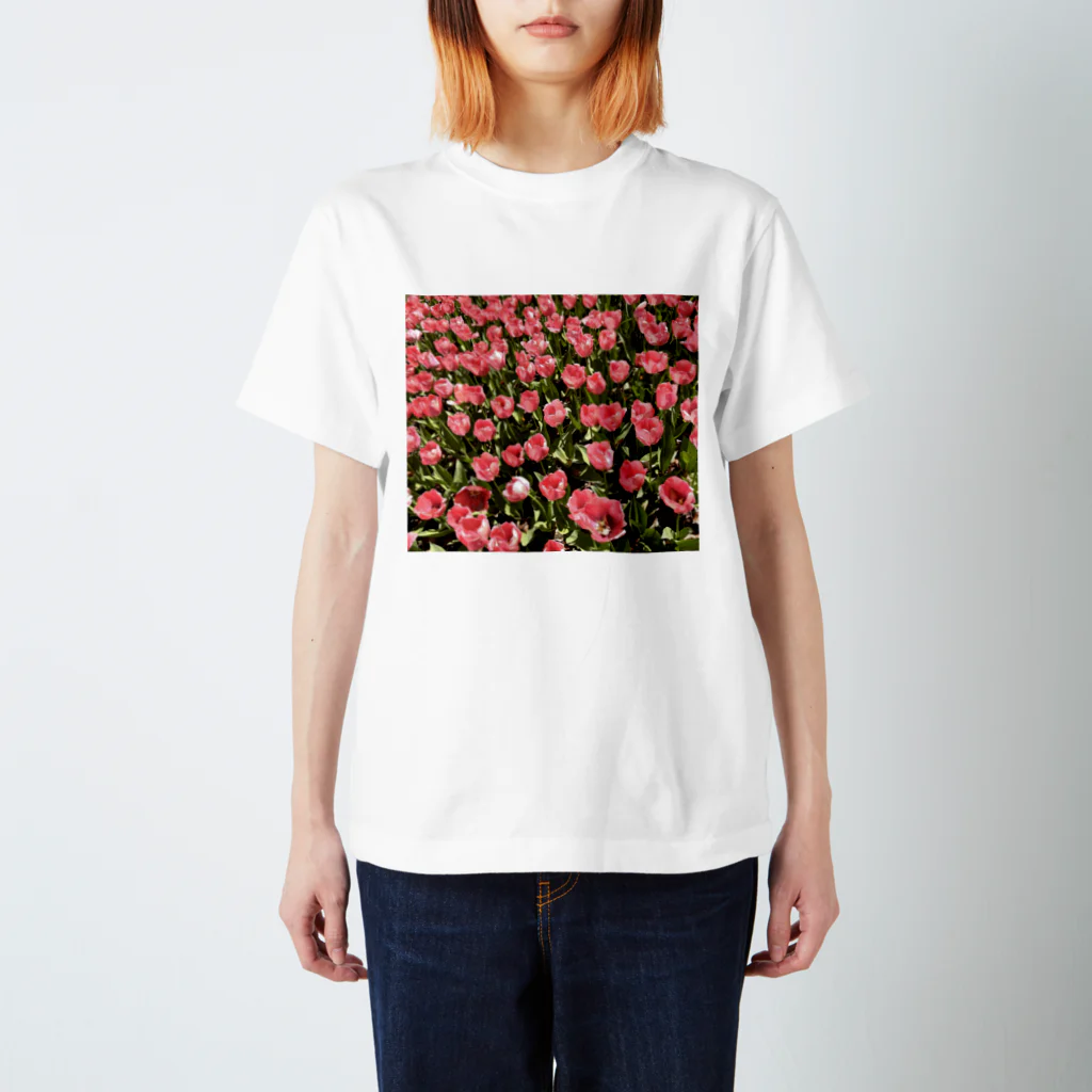 pio-japanのピンクtulip スタンダードTシャツ