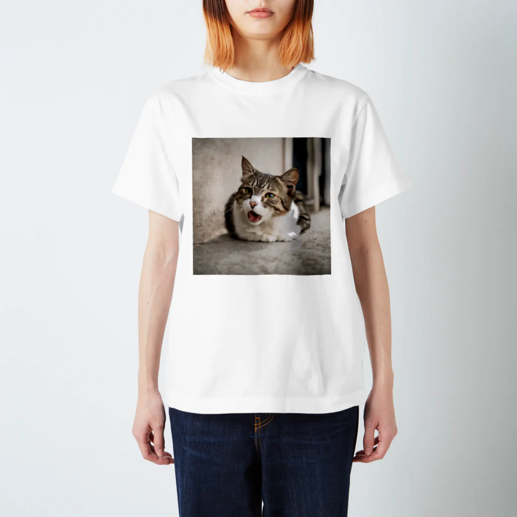 猫ちゃんショップの猫ちゃん スタンダードTシャツ