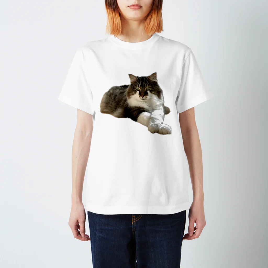 puwaniのバロン君３ Regular Fit T-Shirt