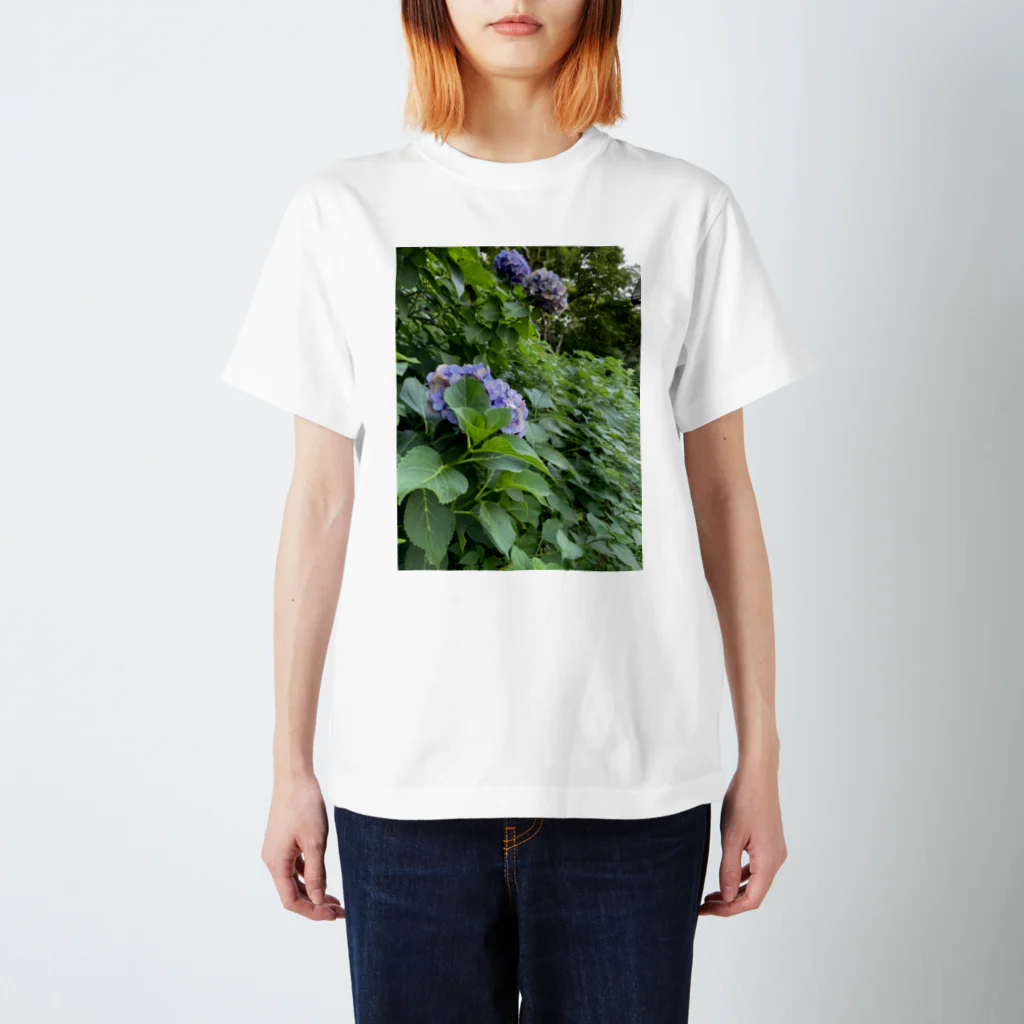 リングロングの紫陽花の絵　Tシャツ スタンダードTシャツ