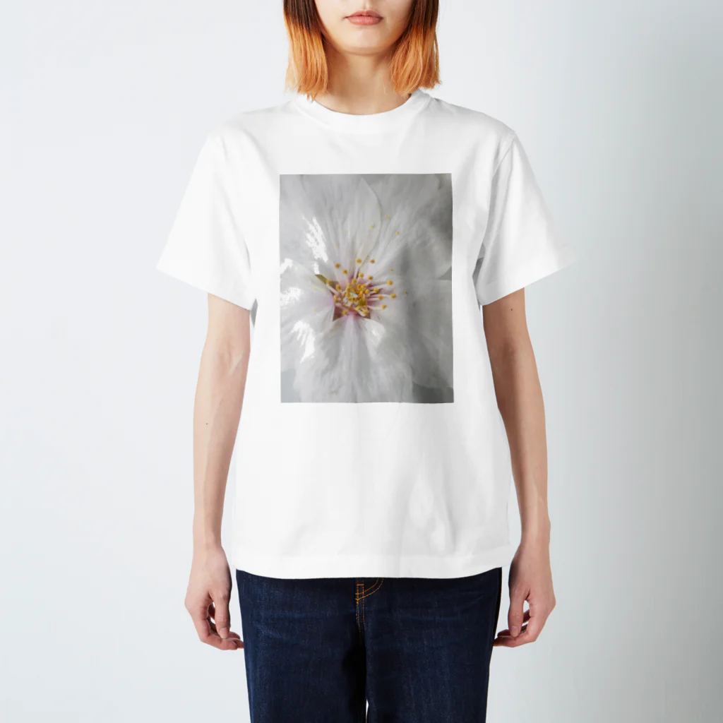 lumièreー光の桜Ⅳ Regular Fit T-Shirt