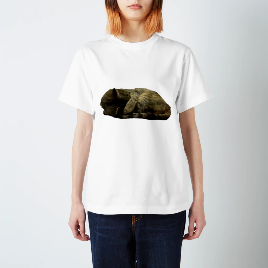 ジョリーマンダリンの眩しくて仕方ないキジトラ猫 Regular Fit T-Shirt