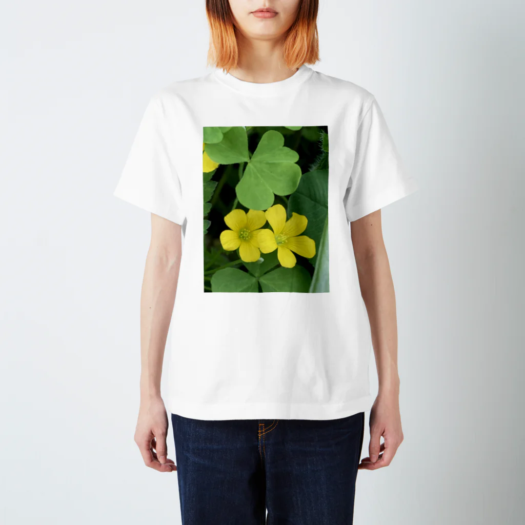 たーどの黄色い花 スタンダードTシャツ