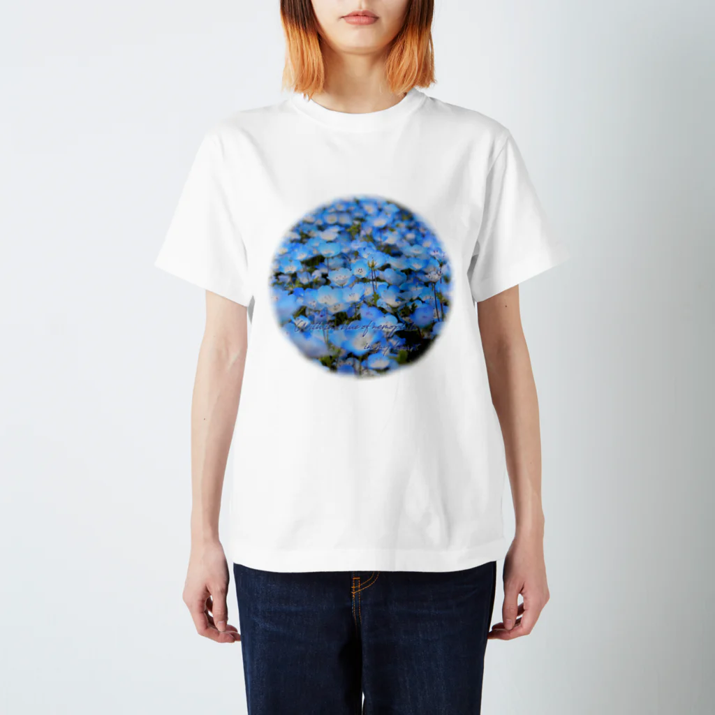 耀い気分のBlue of Nemophila  スタンダードTシャツ