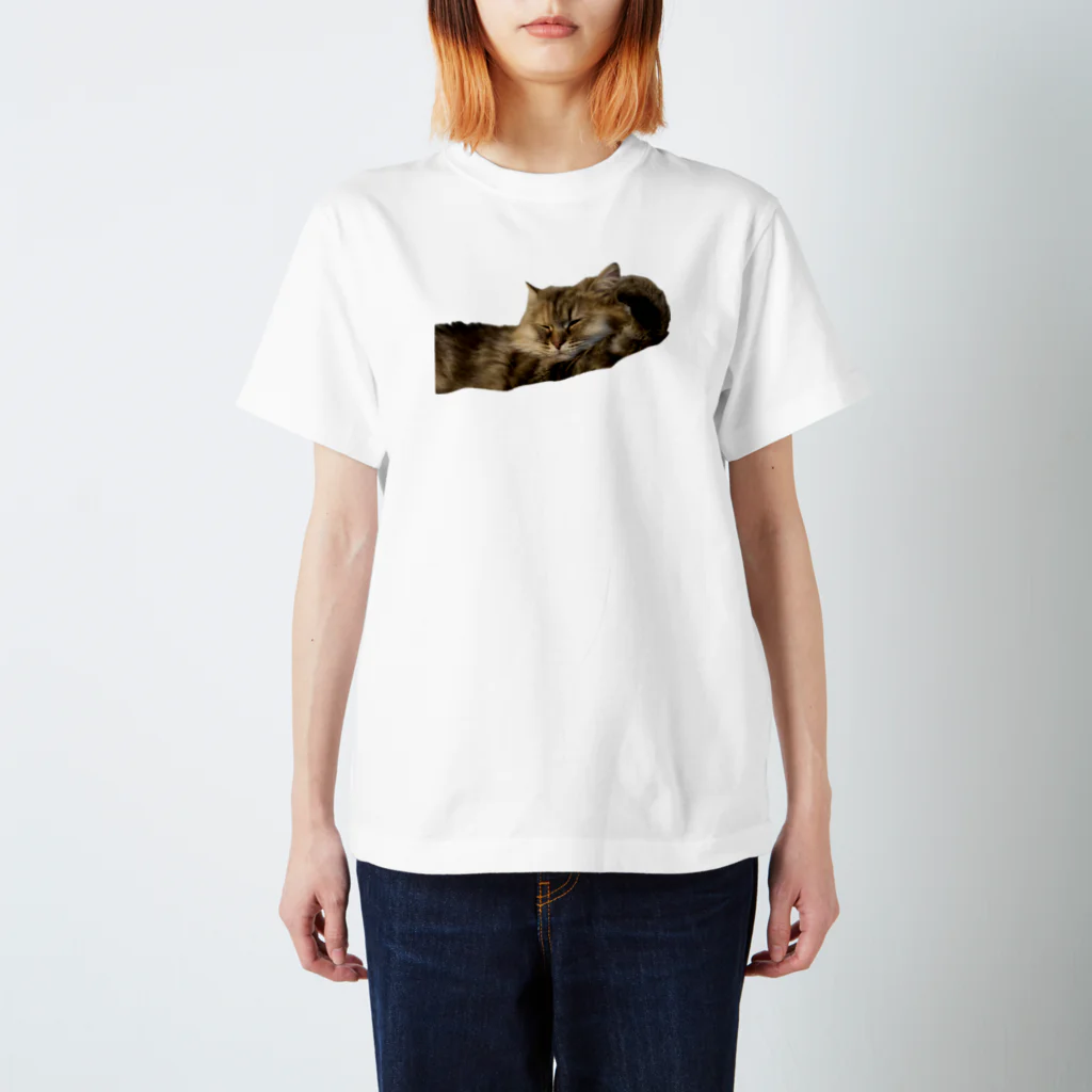 うちの猫ちゃんたちの熟睡このは_No.1 スタンダードTシャツ