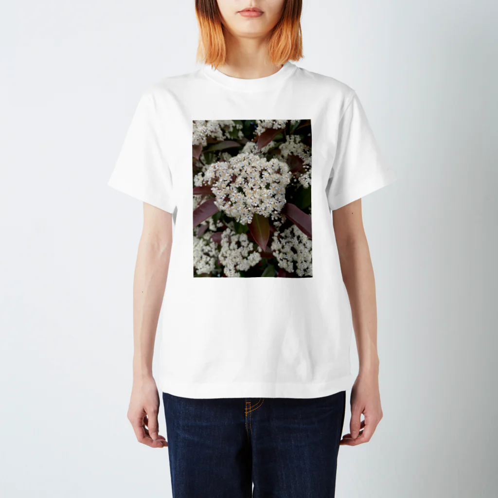 みーちゃんの白い花 スタンダードTシャツ