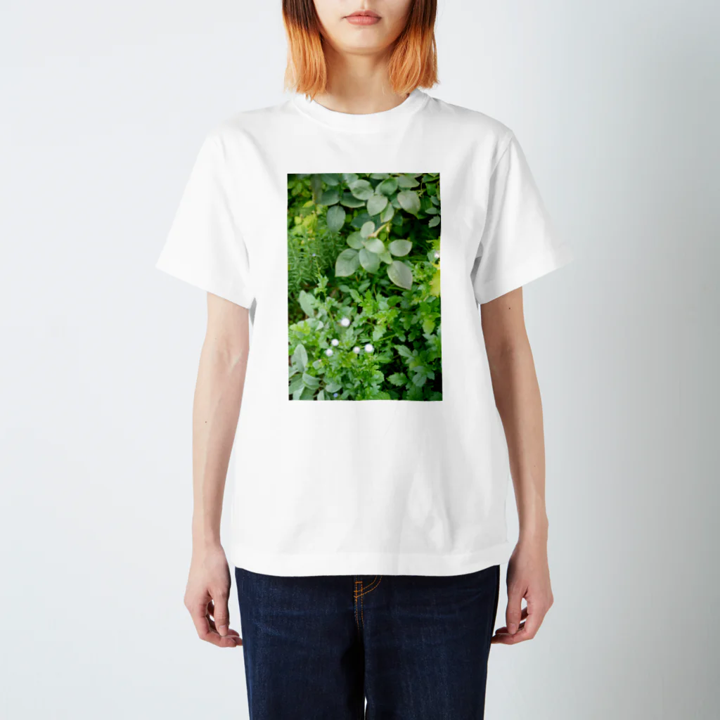 capture hidamariのplant capturing 1  Regular Fit T-Shirt