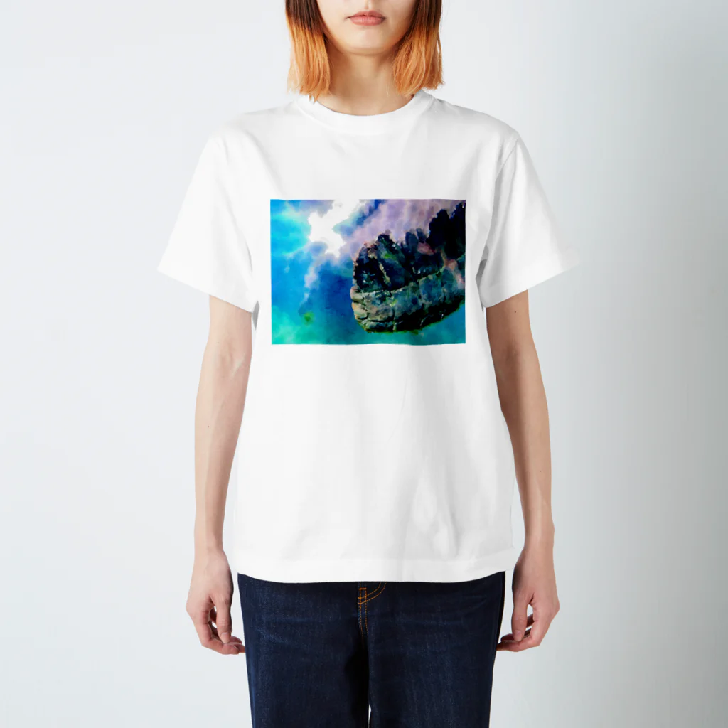 yunyunlivvyのうろこ Regular Fit T-Shirt