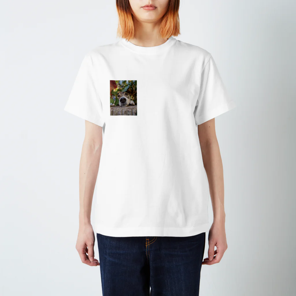 もふまみれのいぬまみれ Regular Fit T-Shirt