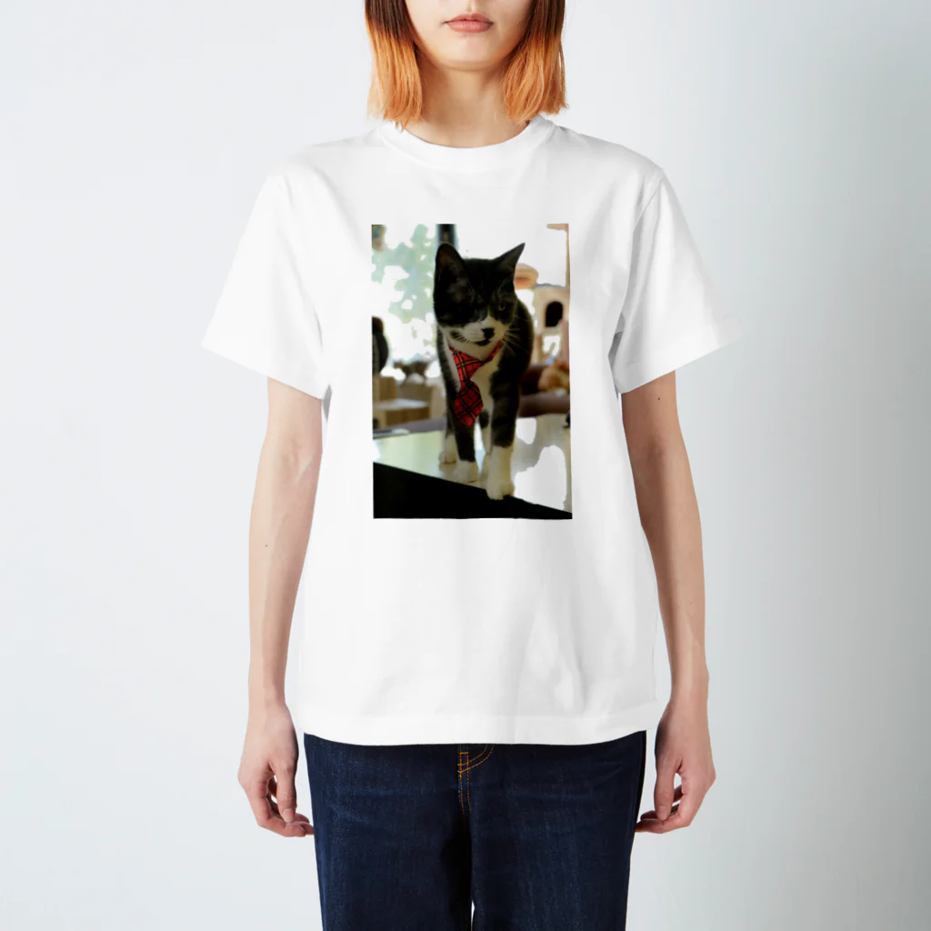 あんぢゅ家の猫のネクタイちょーこー スタンダードTシャツ