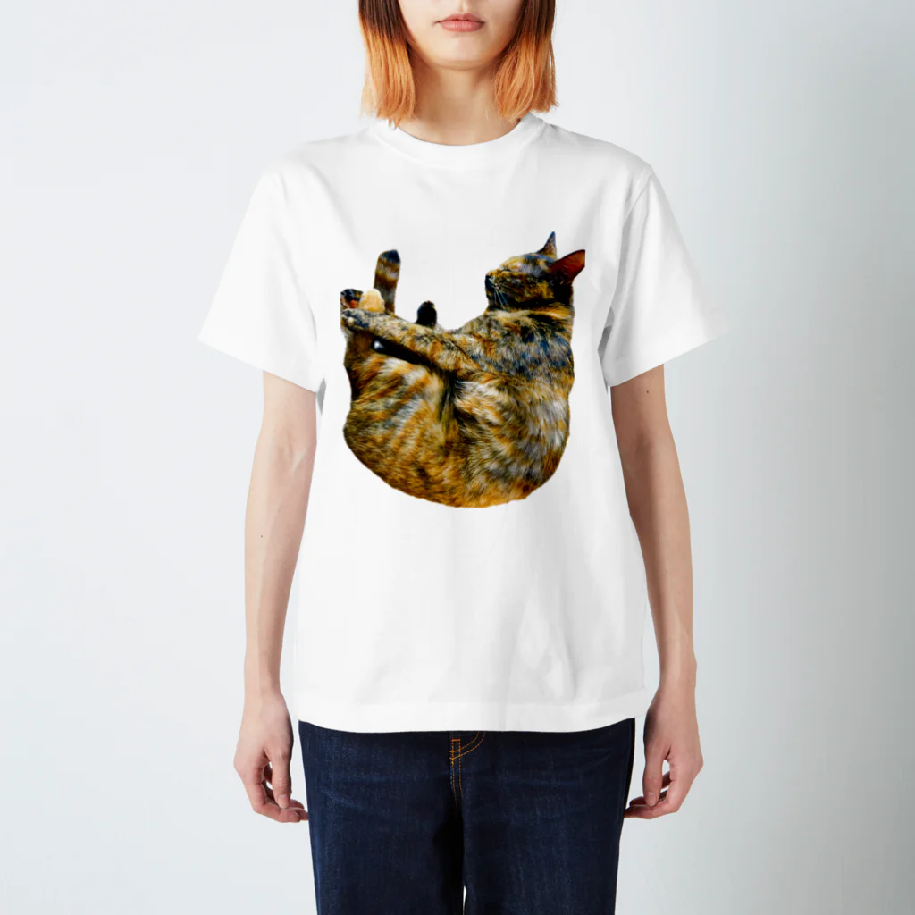 ふくねこのさび　1 スタンダードTシャツ