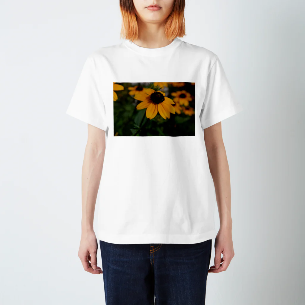 ドローイングGalleryの花　ルドベキア スタンダードTシャツ