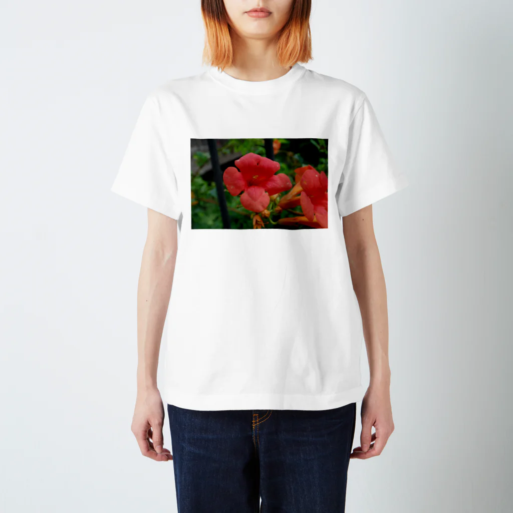 ドローイングGalleryの花　ノウゼンカズラ スタンダードTシャツ