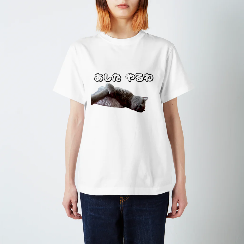 ねこはっぴきの怠惰なねこ（おでぶver.） スタンダードTシャツ