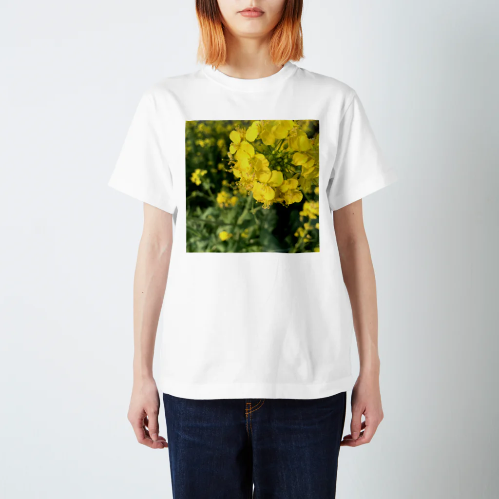 ぐうこの菜の花畑 スタンダードTシャツ